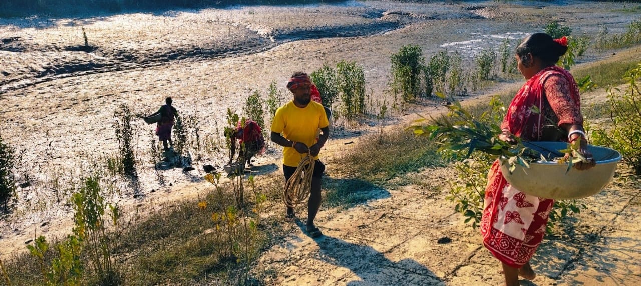 Community Led Mangrove Plantation Supported By Anmol