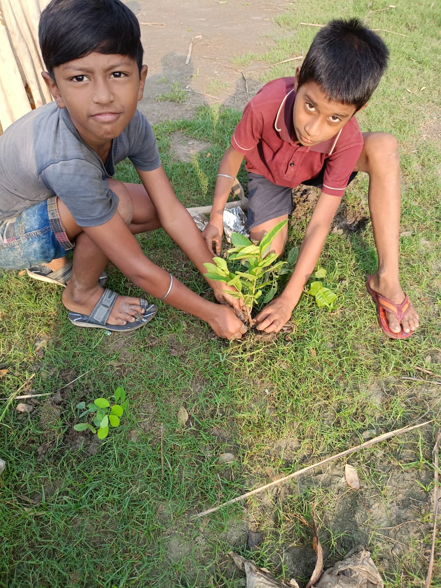 Deulbari Mkss 