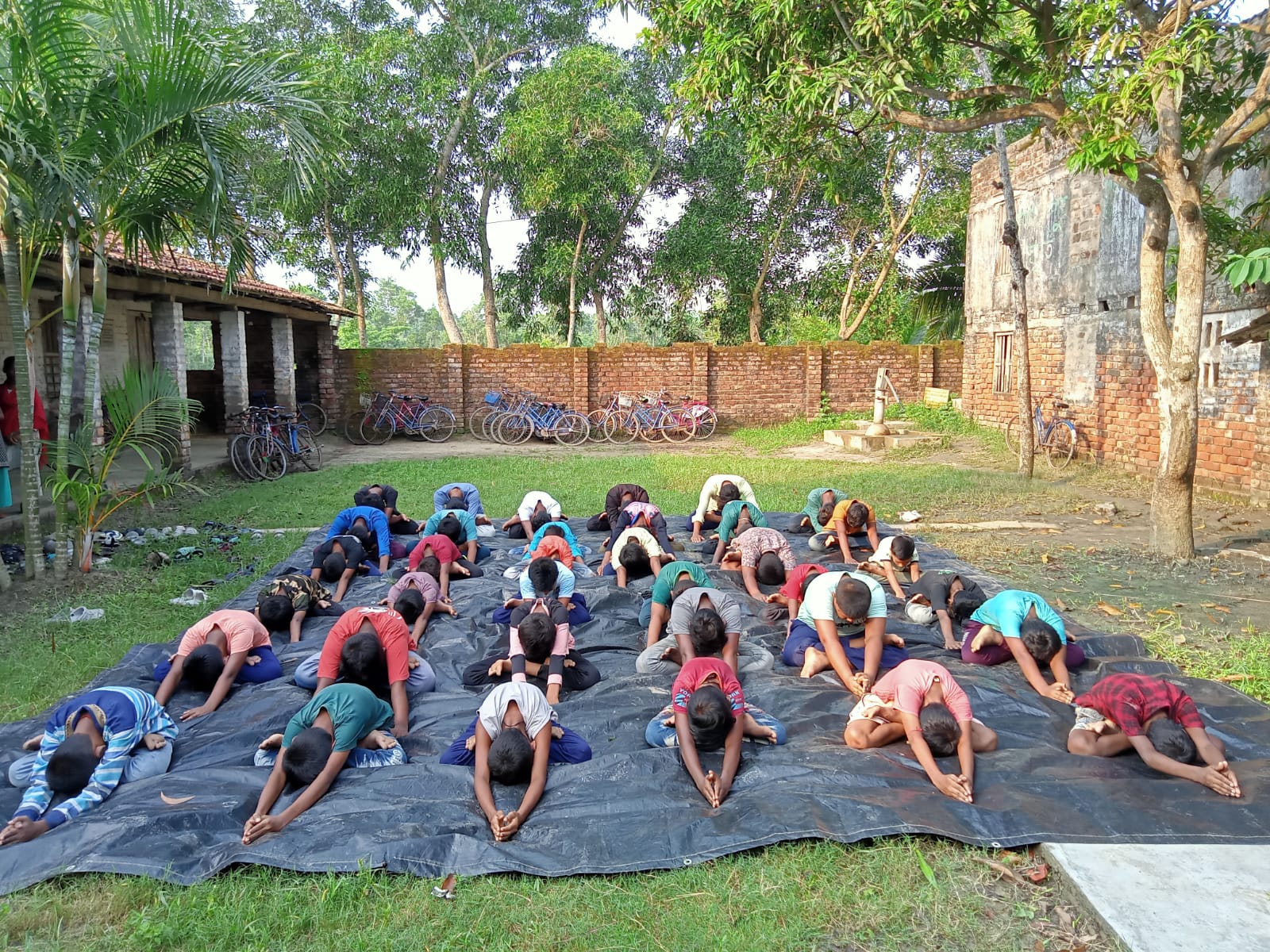 Yoga For Wellness, Wisdom And Peace