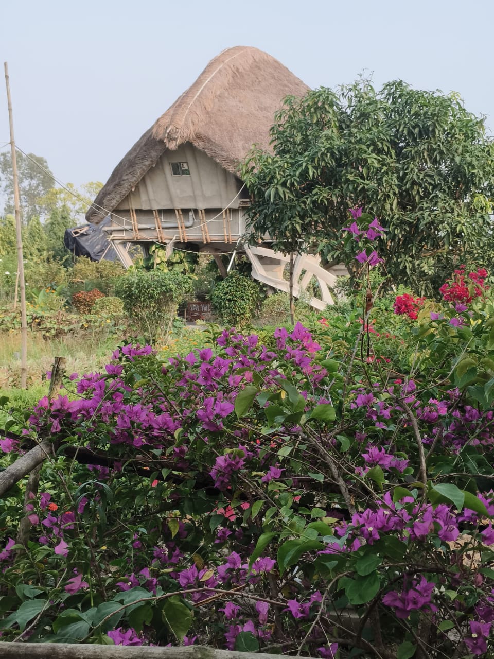 Cyclone Tolerant House