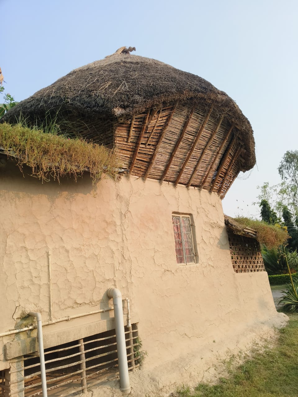 Cyclone Tolerant House
