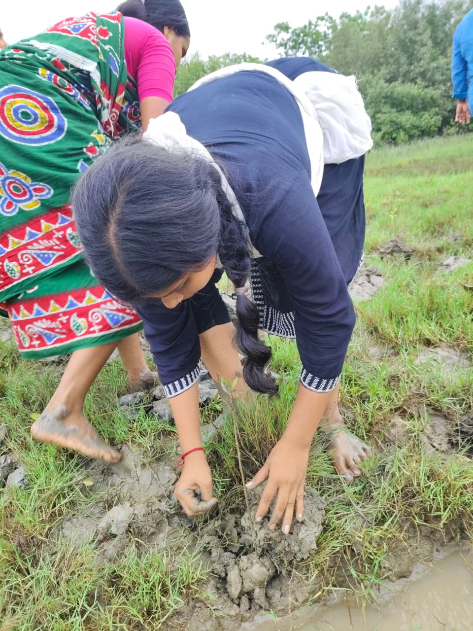 World Mangrove Day 2026: Mukti Unites Communities, Conservation, And Collaboration To Safeguard The Sundarbans