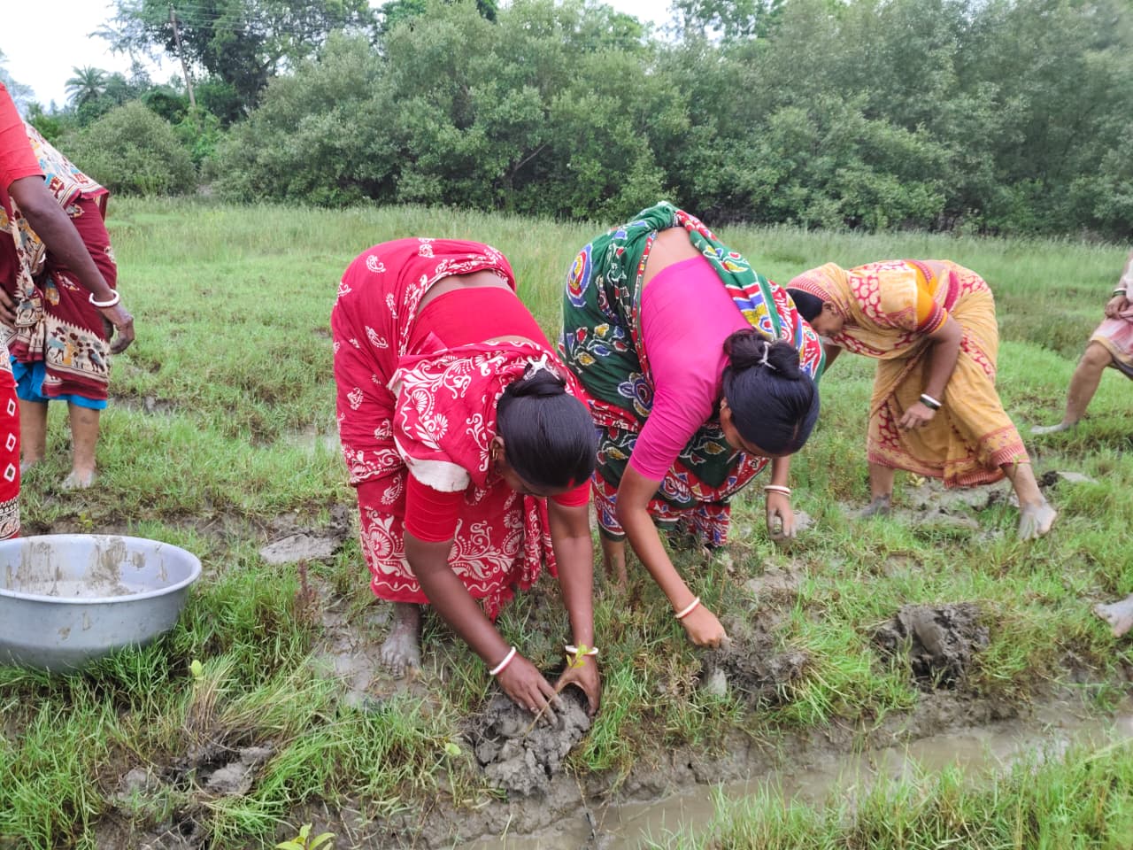 World Mangrove Day 2026: Mukti Unites Communities, Conservation, And Collaboration To Safeguard The Sundarbans