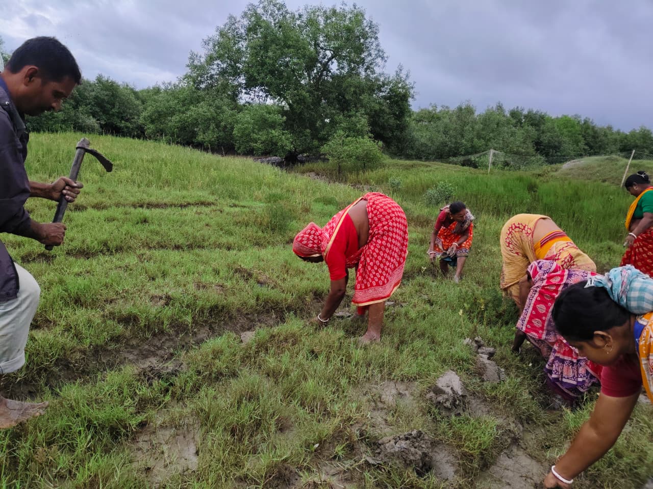 World Mangrove Day 2026: Mukti Unites Communities, Conservation, And Collaboration To Safeguard The Sundarbans