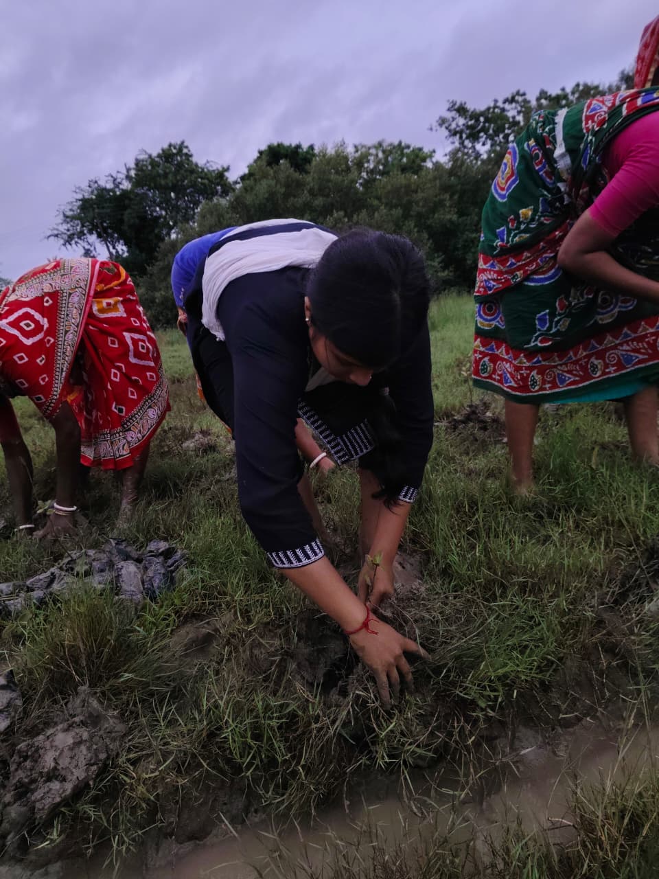 World Mangrove Day 2026: Mukti Unites Communities, Conservation, And Collaboration To Safeguard The Sundarbans