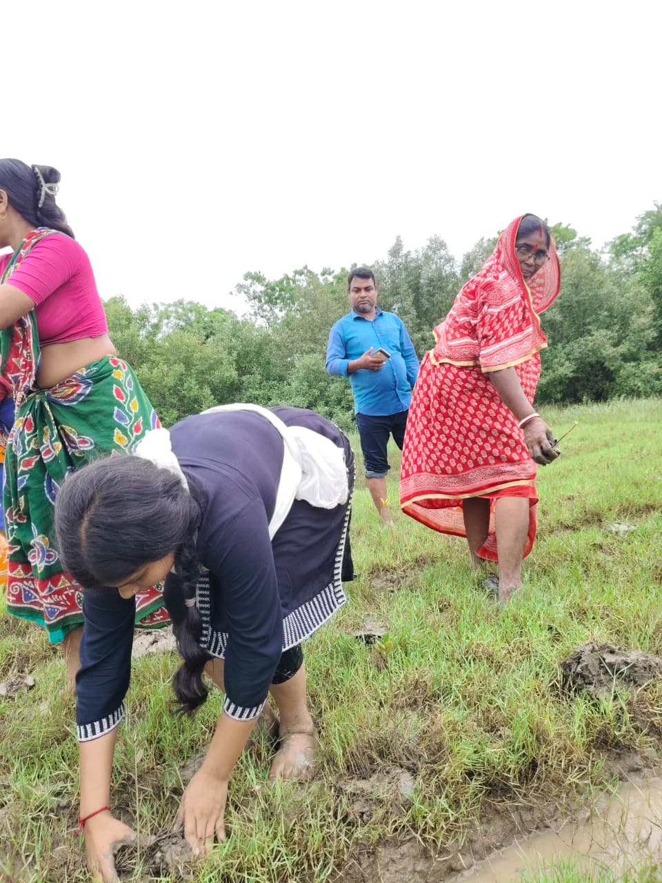 World Mangrove Day 2026: Mukti Unites Communities, Conservation, And Collaboration To Safeguard The Sundarbans