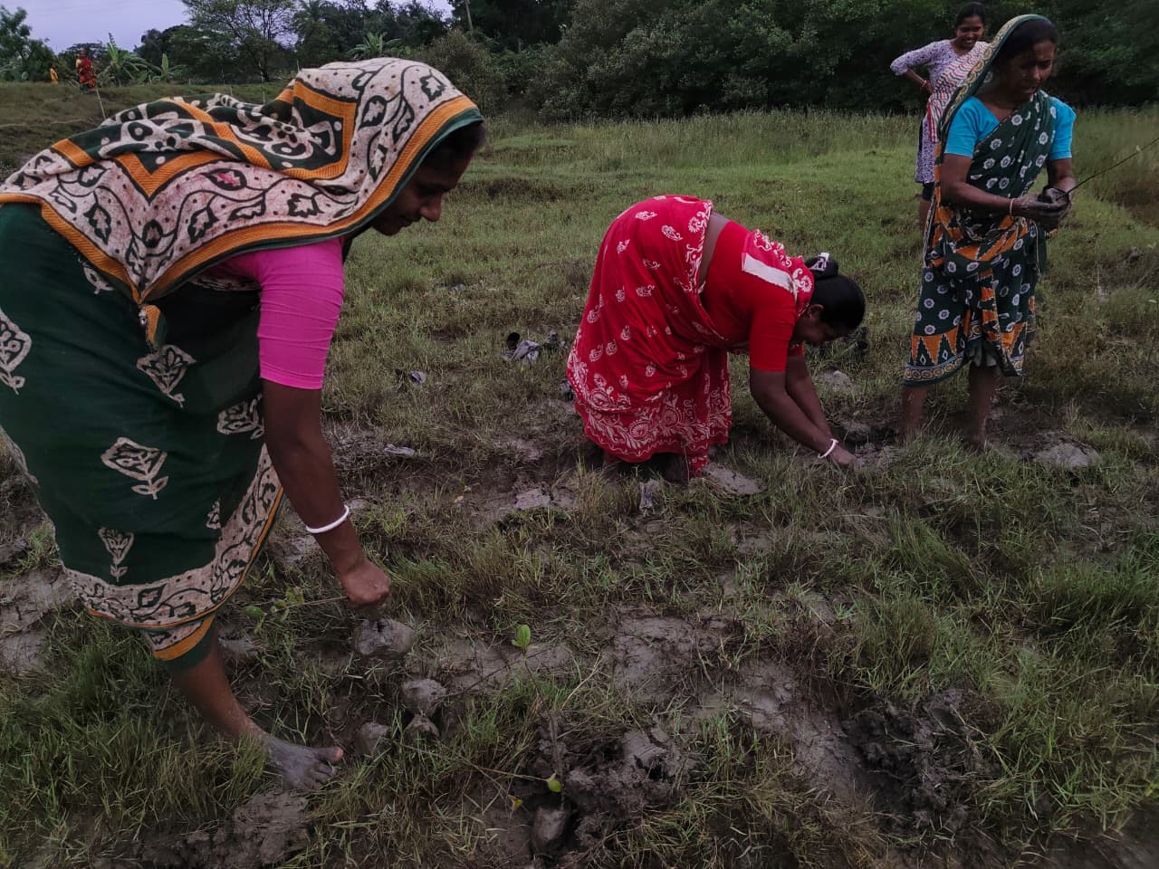World Mangrove Day 2026: Mukti Unites Communities, Conservation, And Collaboration To Safeguard The Sundarbans