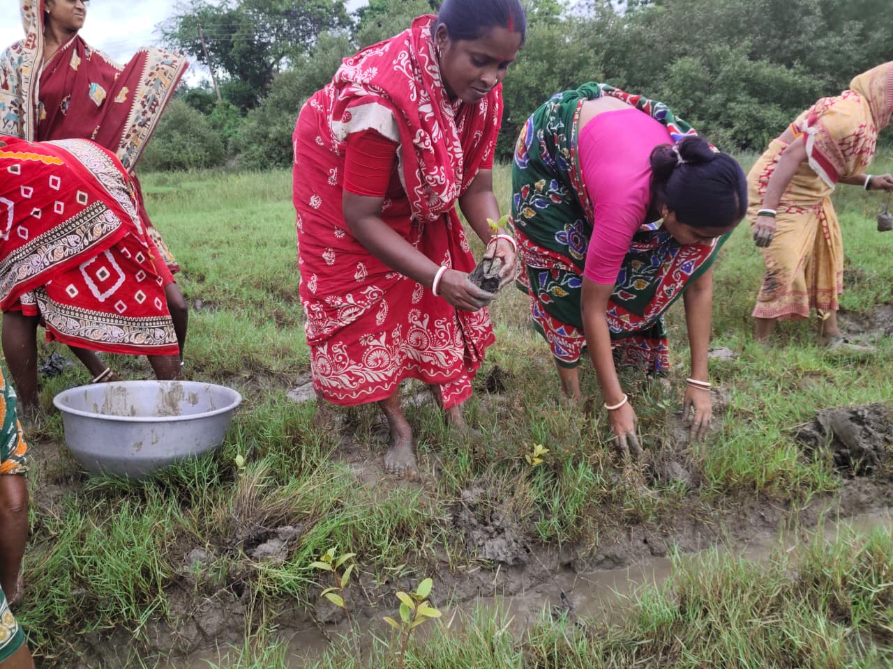 World Mangrove Day 2026: Mukti Unites Communities, Conservation, And Collaboration To Safeguard The Sundarbans