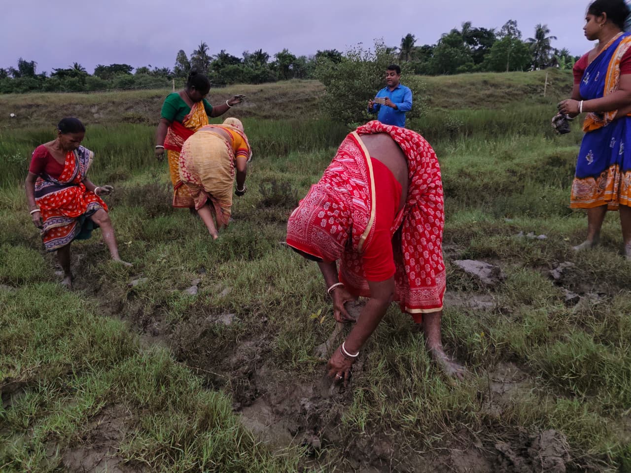 World Mangrove Day 2026: Mukti Unites Communities, Conservation, And Collaboration To Safeguard The Sundarbans