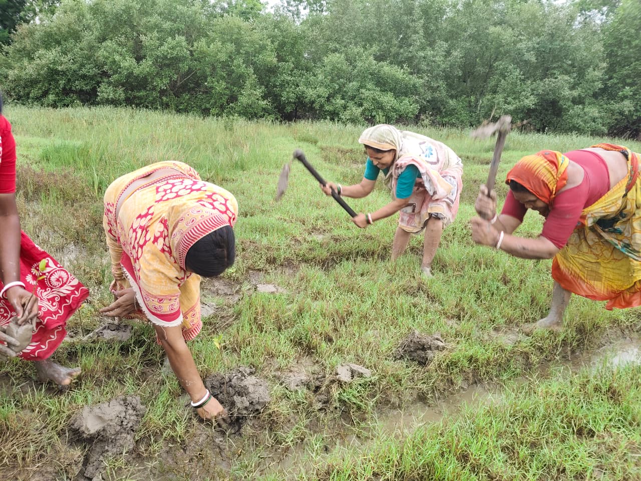 World Mangrove Day 2026: Mukti Unites Communities, Conservation, And Collaboration To Safeguard The Sundarbans
