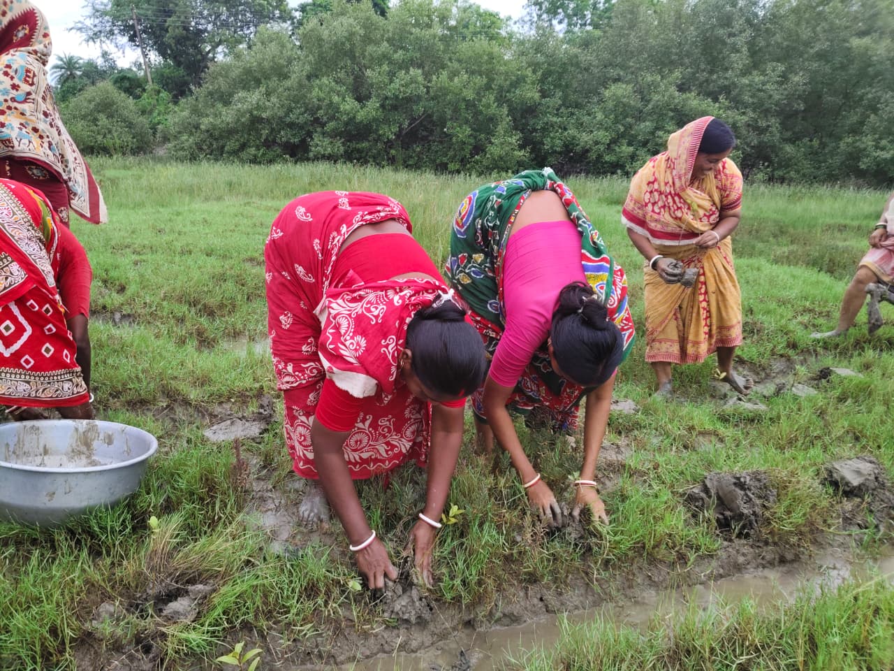 World Mangrove Day 2026: Mukti Unites Communities, Conservation, And Collaboration To Safeguard The Sundarbans