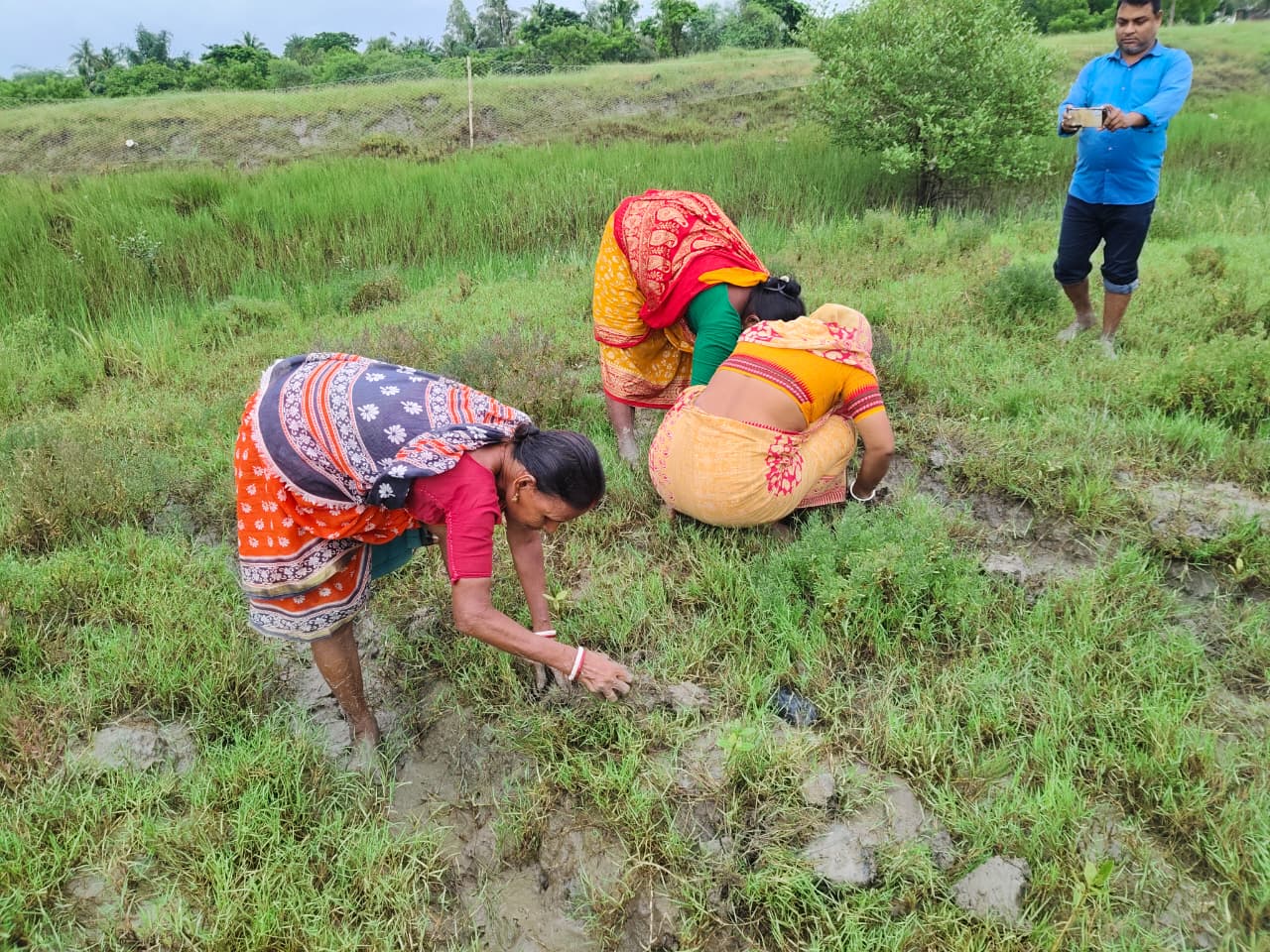 World Mangrove Day 2026: Mukti Unites Communities, Conservation, And Collaboration To Safeguard The Sundarbans