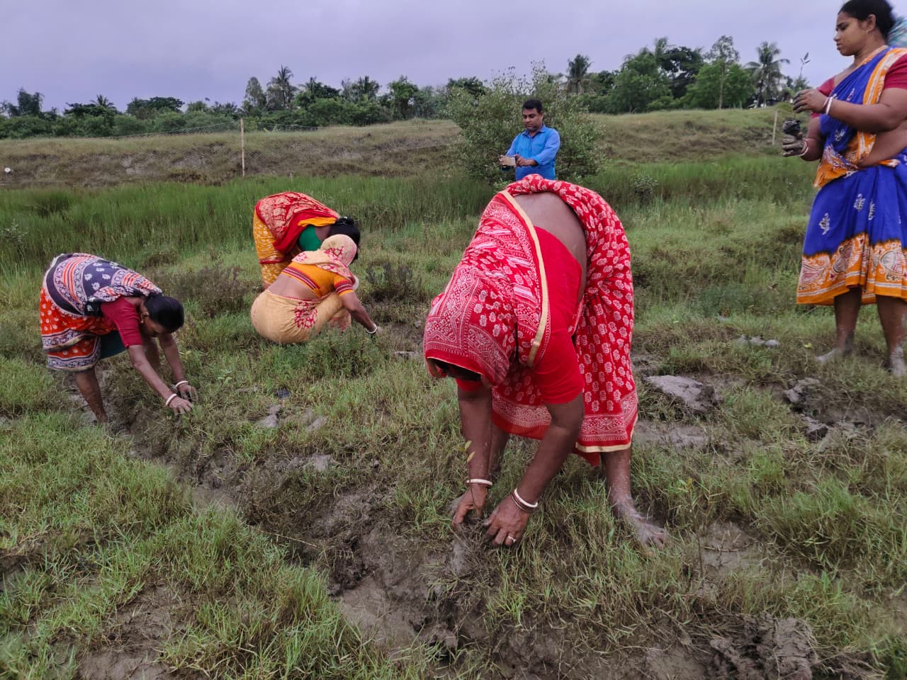 World Mangrove Day 2026: Mukti Unites Communities, Conservation, And Collaboration To Safeguard The Sundarbans