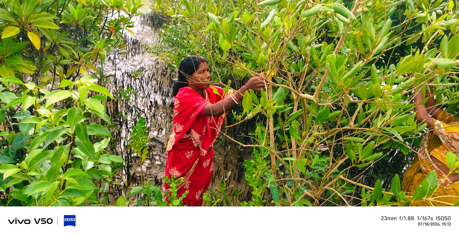 Mukti Participates In State-level World Mangrove Day Awareness Workshop