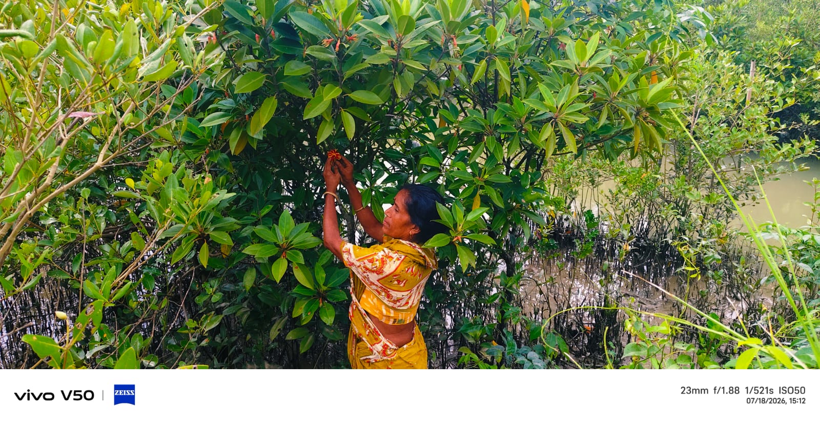 Mukti Participates In State-level World Mangrove Day Awareness Workshop