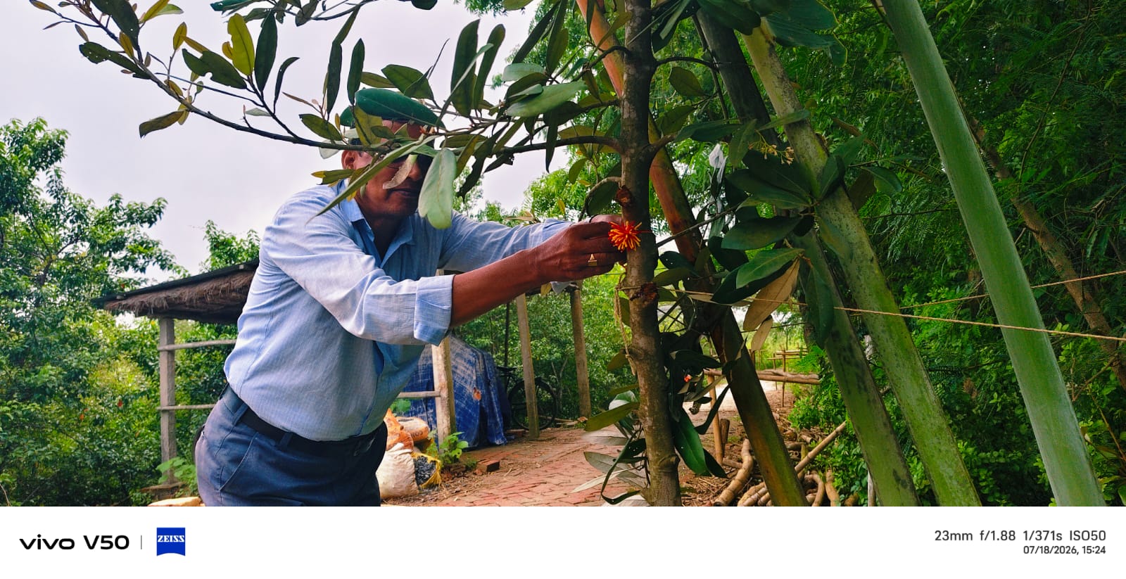 Mukti Participates In State-level World Mangrove Day Awareness Workshop