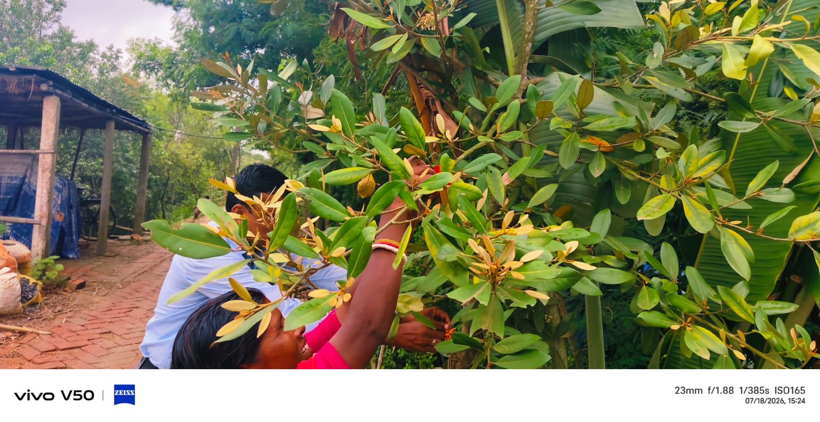 Mukti Participates In State-level World Mangrove Day Awareness Workshop