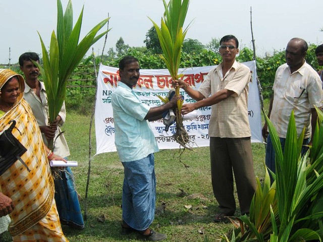 NaRKEL (Coconut ) Project in South 24 Parganas